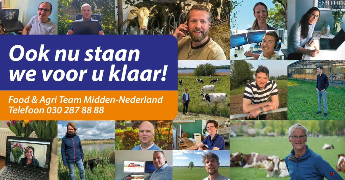 van_dorresteijn's tweet photo. Enerverende tijden! Voor onze klanten en voor ons. Werken kunnen we echter overal. Ook vanuit huis helpen we onze agrarische ondernemers graag verder! 

#foodagri #teammiddennederland #dichtbij #betrokken 

@Rabobank @RaboUtrecht @UWRabo https://t.co/yAVAUtIc3f