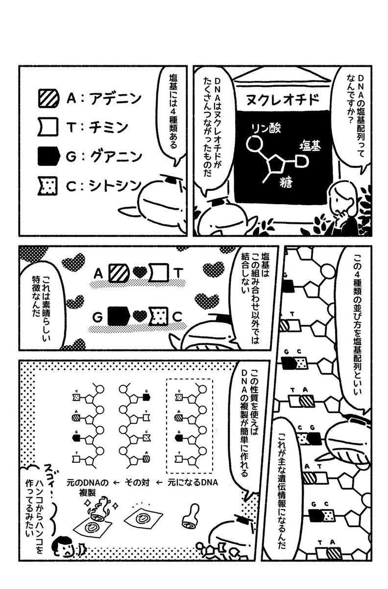 マンガ「若い読者に贈る美しい生物学講義」更新されました??第15章「遺伝のしくみ」https://t.co/h4uBlAPBwA 