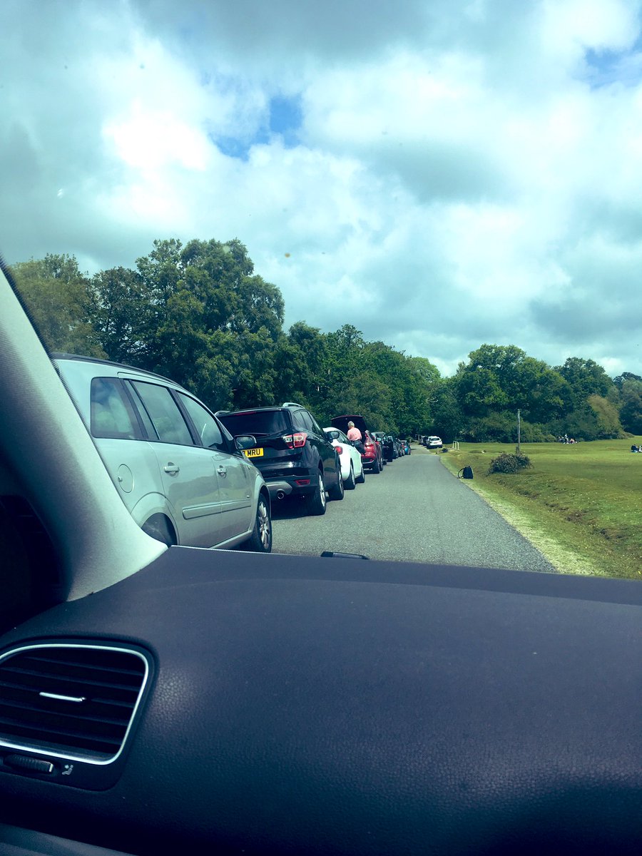 heatherb133's tweet photo. @HantsPolRural @EngNewForest @NewForestNPA Mill Lane, Burley 20 mins ago...   not sure what the answer is but the message isn’t getting through sadly https://t.co/u1FxN3ltgT