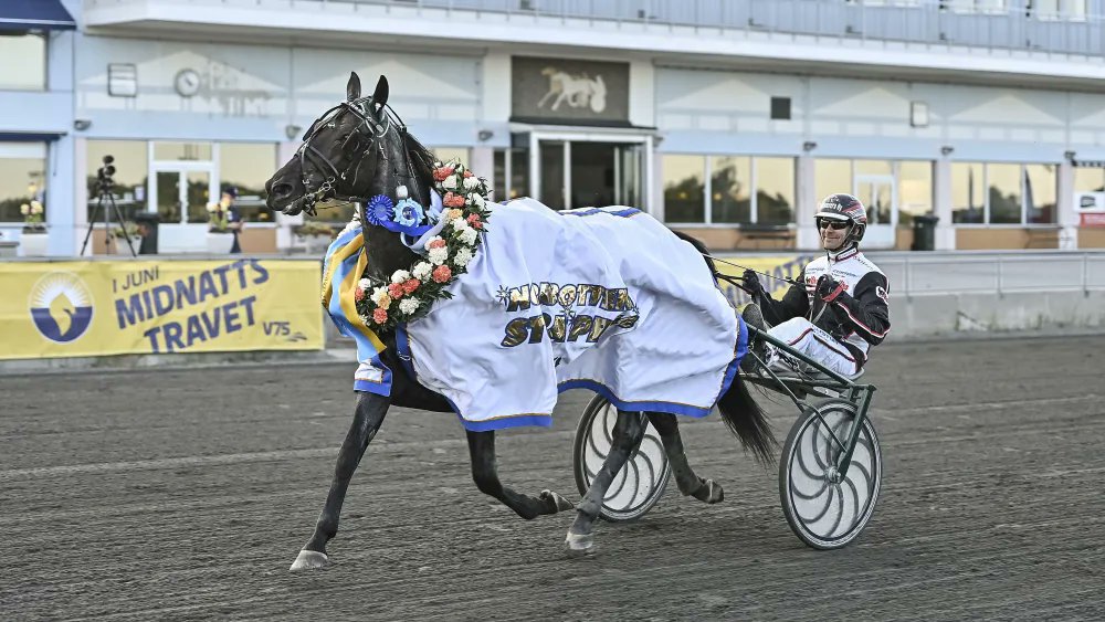 Joe_Zagari's tweet photo. #AntonioTabac 🇸🇪 #Crazed won #NorrbottensStoraPris #Group 1⃣ Sulky - 955,000 SEK - 2140 - 5+ years old - International Race -#Boden🏟️ with #MikaForsse &amp; #JörgenWestholm ⏱️1.11.1 on 2140 over #Makethemark and #Stoletheshow
📸#JennyRehnman / TR BILD https://t.co/YUmLrcMaZX