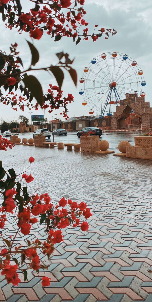 مًلهمً tweet media