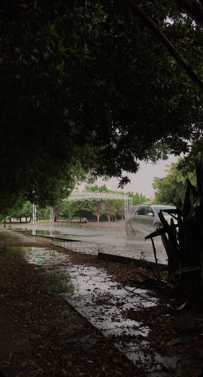 مًلهمً tweet media