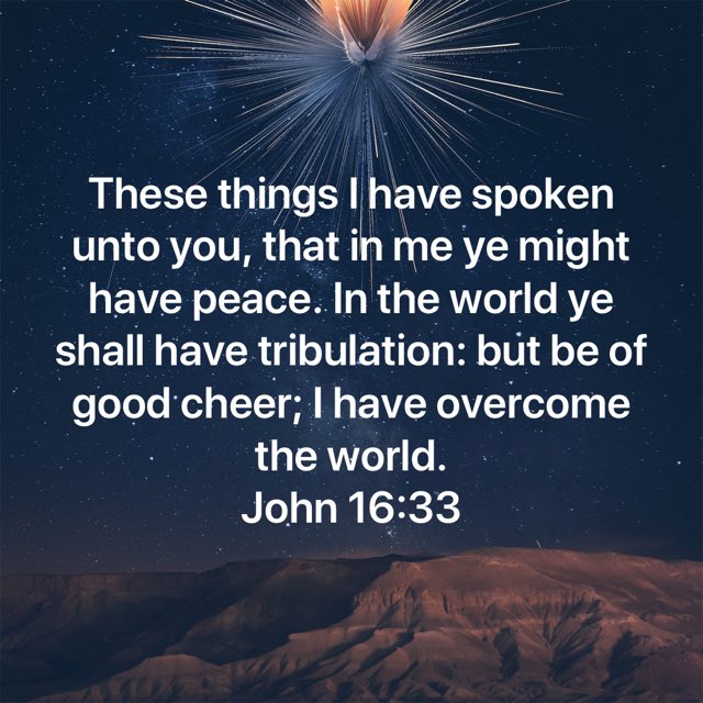 ScottScottg's tweet image. bible.com/1/jhn.16.33.kjv