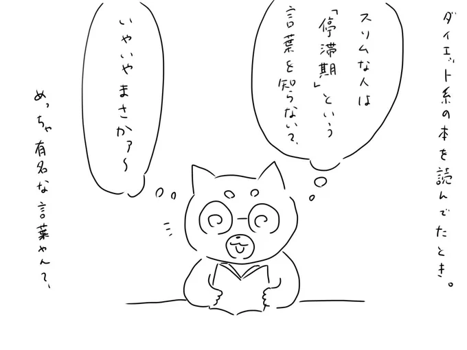 ずっとスリムな人は「停滞期」っていう言葉の意味を知らんって、ほんとなん?
と思い、試してみた結果です。 