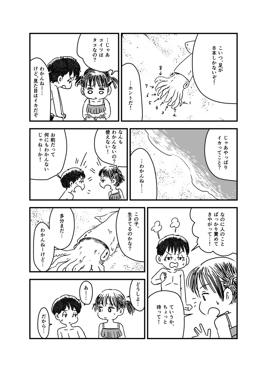 『烏賊(イカ)』 (1/3) 