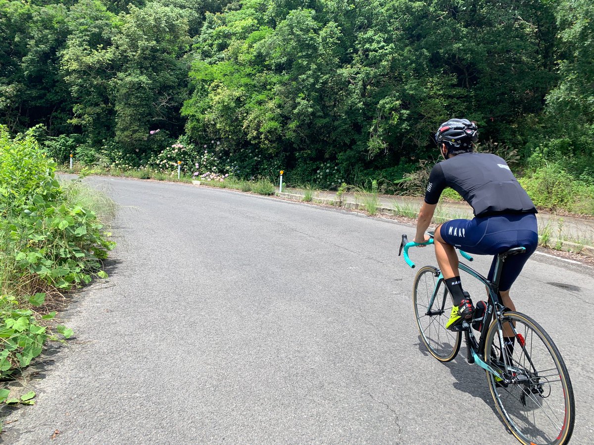 ぽぽたん 庵治半島の時計回り 後半の下り左コーナーで車と自転車の事故現場に遭遇しました 状況は分からないけど チャリは真っ二つ どちらかが車線飛び越えて接触したのかな 飛ばしてる車多いしみんな気を付けよう