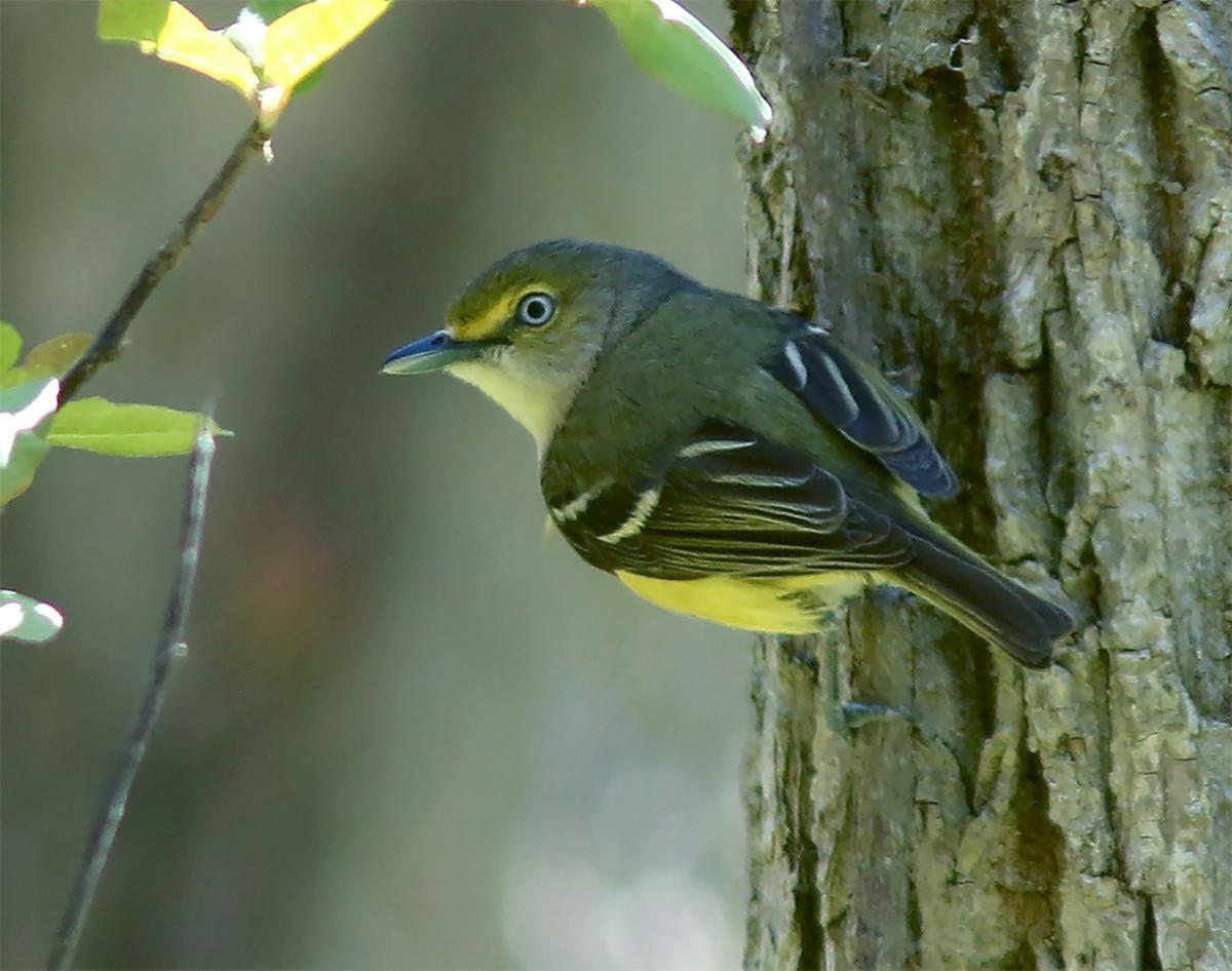 Eagle-Eye Tours tweet media