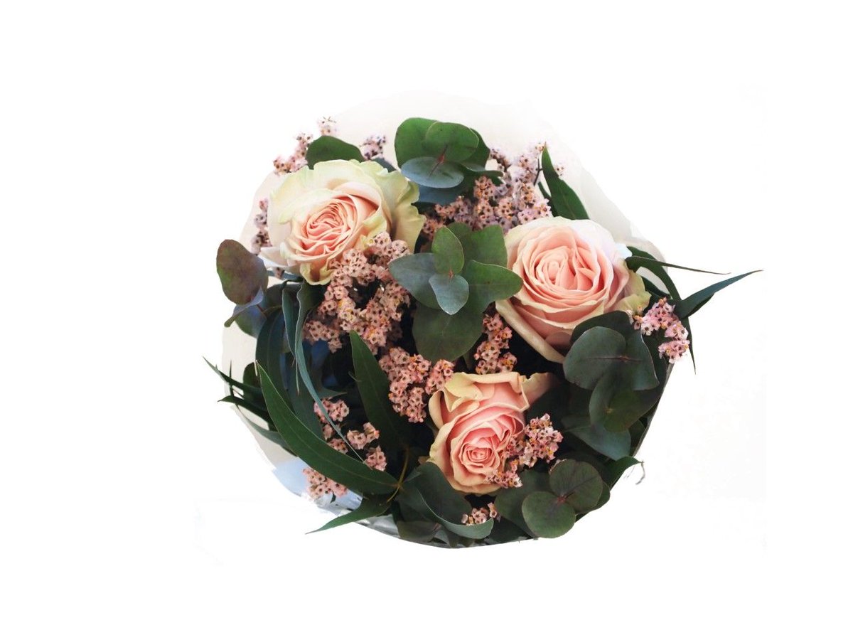 Roses_SJ's tweet photo. Ahora toda la calidad de rosessantjordi en tus envíos de flores a domicilio.💐
Elige tu ramo y envía en 24h la mejor calidad con un servicio de entrega garantizado 
🚚 y al mejor precio!
🆓 ¡Envío Gratis!
https://t.co/Vg0oVj7bDz #FloresaDomicilio #FloresOnline #ElMejorRegalo https://t.co/XWzd5svIFM