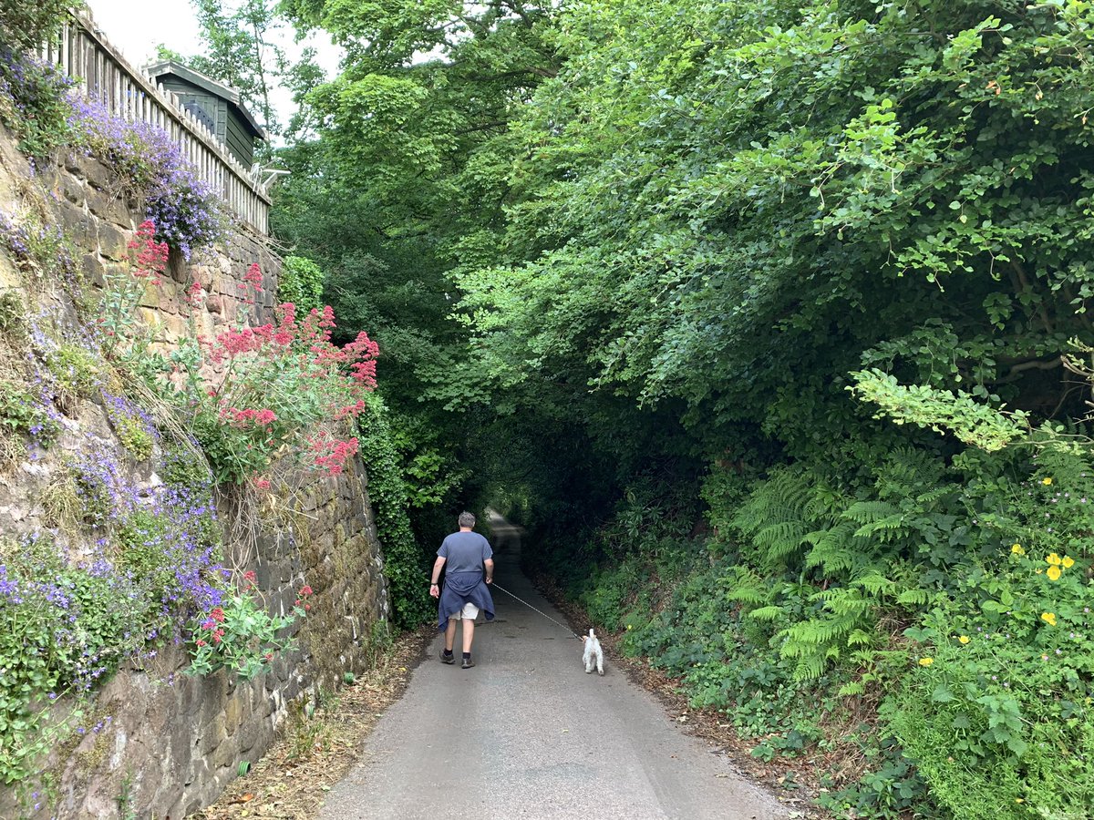RosChimes's tweet photo. Today’s trottings. And we discovered our secret lane is called Boozy Bank 😂 https://t.co/seCQAE8GbF