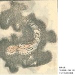 main image of this resource