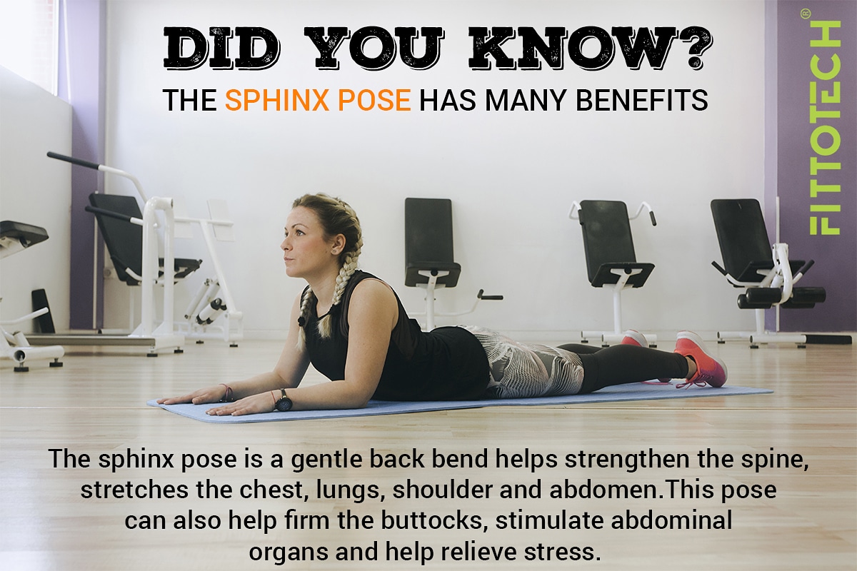 fittotech's tweet photo. Let's stay fit &amp; healthy with Fittotech..!!

Stay connected with Fittotech for more facts..!!

https://t.co/LW21tJqS3K

Visit us on https://t.co/jIsmTXd1D6

#fittotech #fitnessinstructor #professionalfitnessinstructor #fitnessmanagerapp #gymmanagementapp #gymworkoutapps #bestwork https://t.co/WH4Y5WpMU3