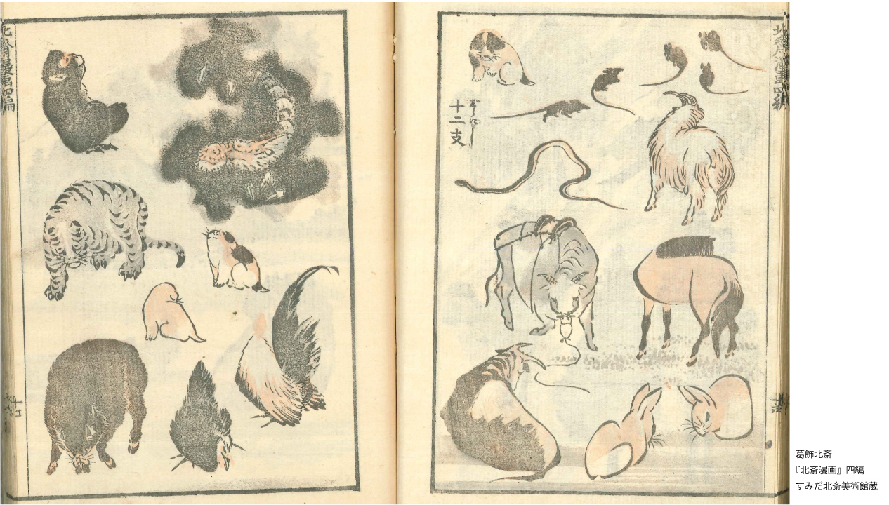 12冊セット♪マンガで教養 やさしい日本絵画／宇宙をめざした北斎 12冊