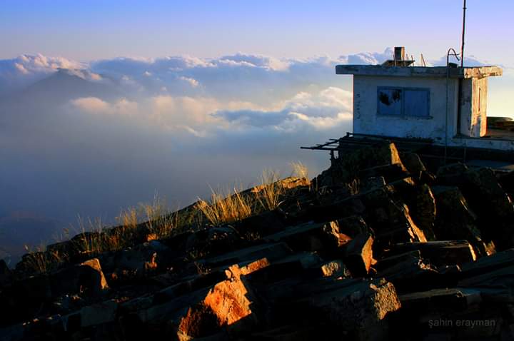 ve_orman's tweet image. #AnadoludanKareler 
#UğurBöcekleri nin mekanlarından, #UludazDağı #Kahramanmaraş
📷 Şahin Erayman