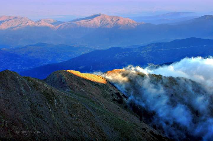ve_orman's tweet image. #AnadoludanKareler 
#UğurBöcekleri nin mekanlarından, #UludazDağı #Kahramanmaraş
📷 Şahin Erayman