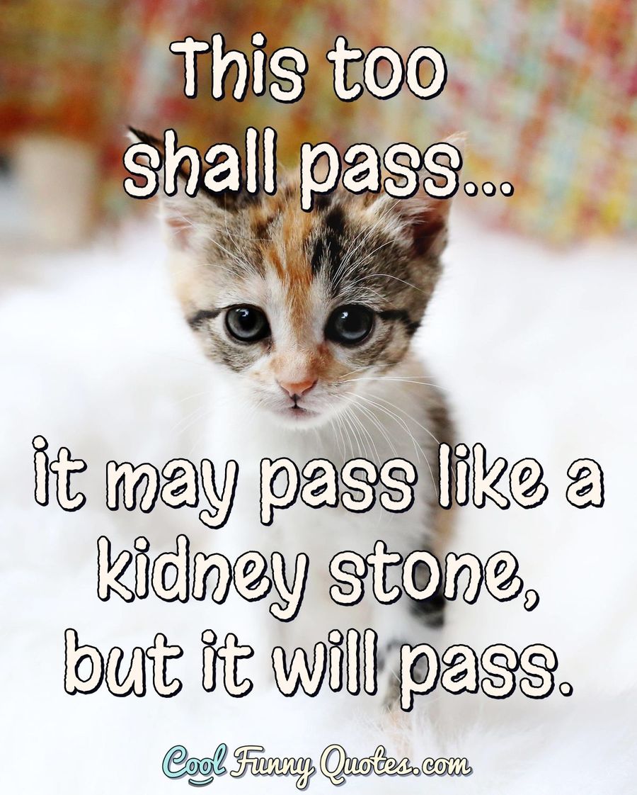 Cool Funny Quotes On Twitter This Too Shall Pass It May Pass Like A Kidney Stone But It Will Pass Life Funny Kidney Sayings Itwillpass Https T Co Tgq1bupapa Https T Co Ihj28tcy6b