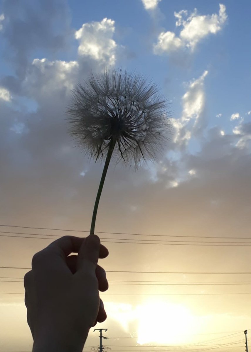 Gzdez18's tweet photo. Keşke kalbinizde ektiğiniz çiçekler kadar güzel olsa bayım...🌿 https://t.co/ajRXkSDYHP