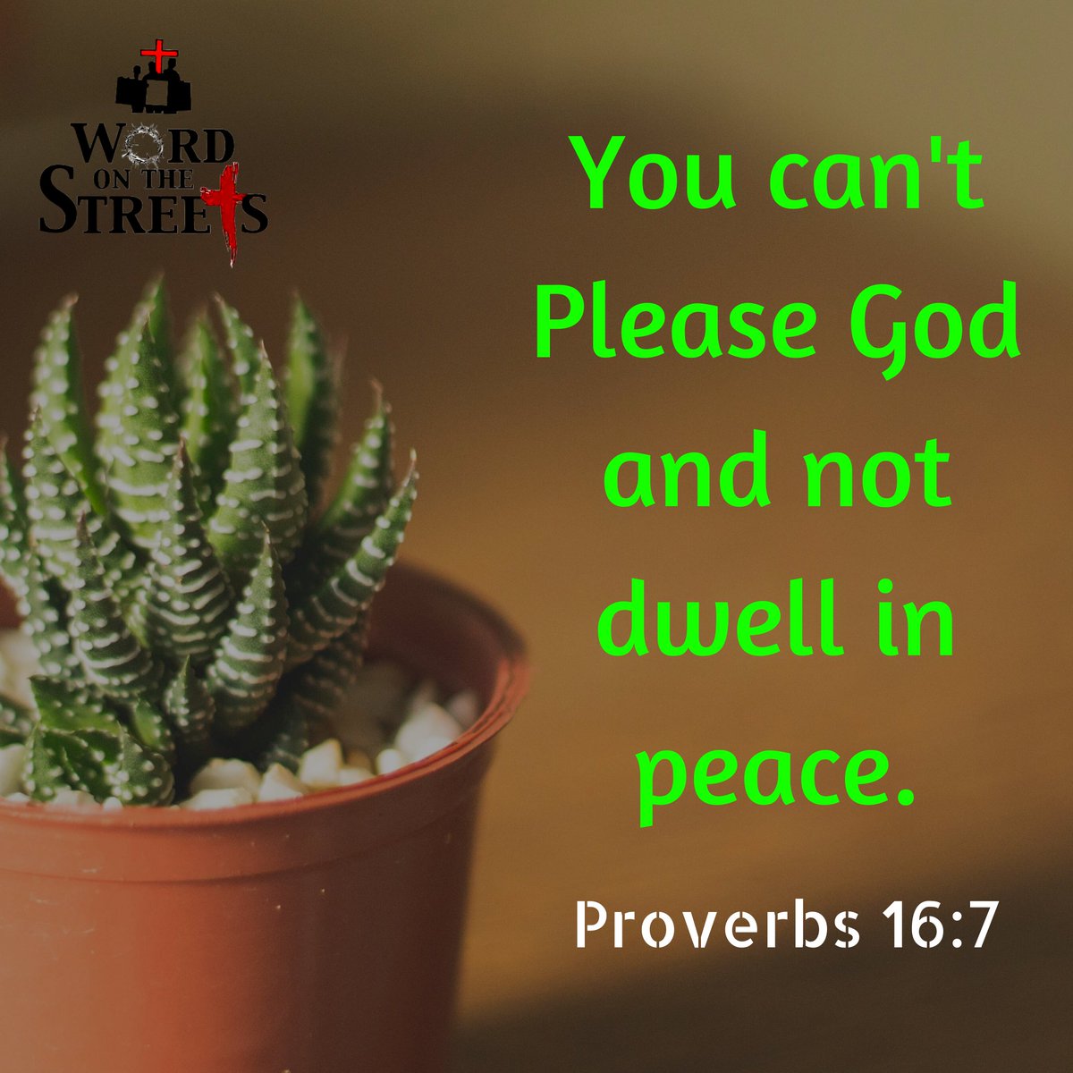 WotsGospelNaija's tweet image. When your life’s purpose is pleasing God, even your enemies will seek to be at peace with you. #WordOnTheStreets #WOTS #Peace #Christ #Church #Love #Gospel #Nigeria #Sunday