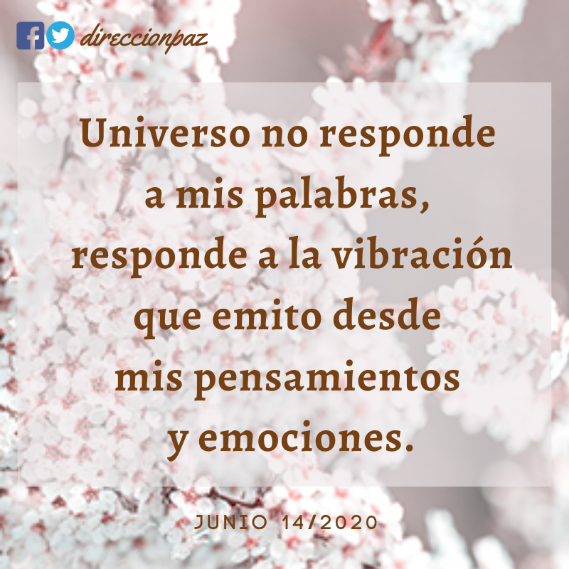 DireccionPaz's tweet photo. La vibración es más contundente que las palabras 😉❤️ https://t.co/Iiwwr2UsYS