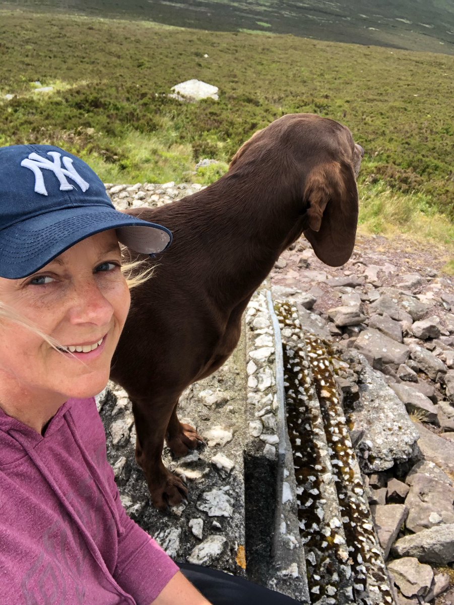 Melstokes_1999's tweet photo. Back where we love ๐ #Slievenamon #fethard #killusty #mountain #dogslife https://t.co/iTtjomMzA5