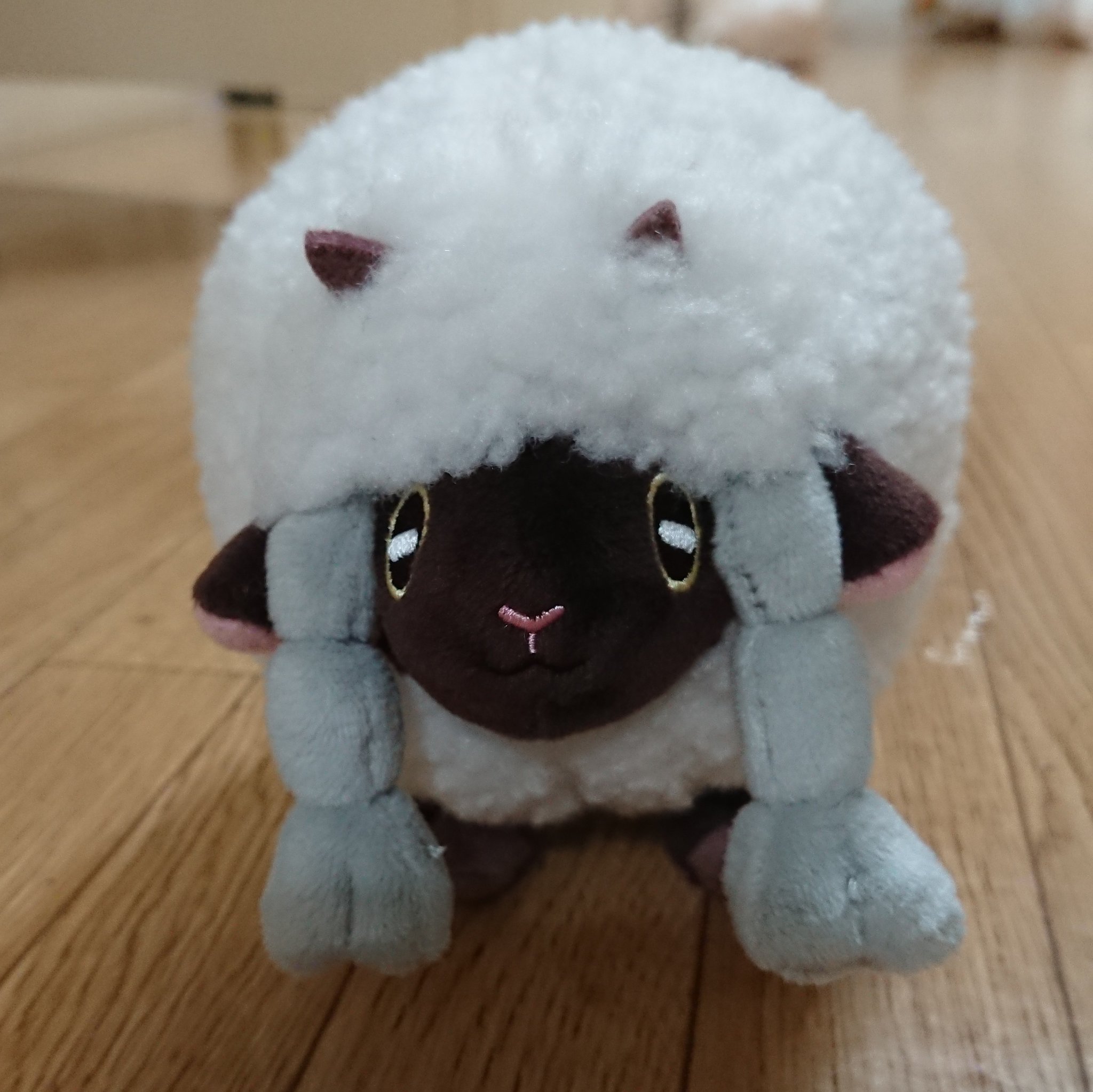 アイス ポケモン ポケモン剣盾 ポケモンぬいぐるみ ウールー たまたま見つけたウールーちゃん 可愛すぎやしませんかね T Co Vt6xresklx Twitter