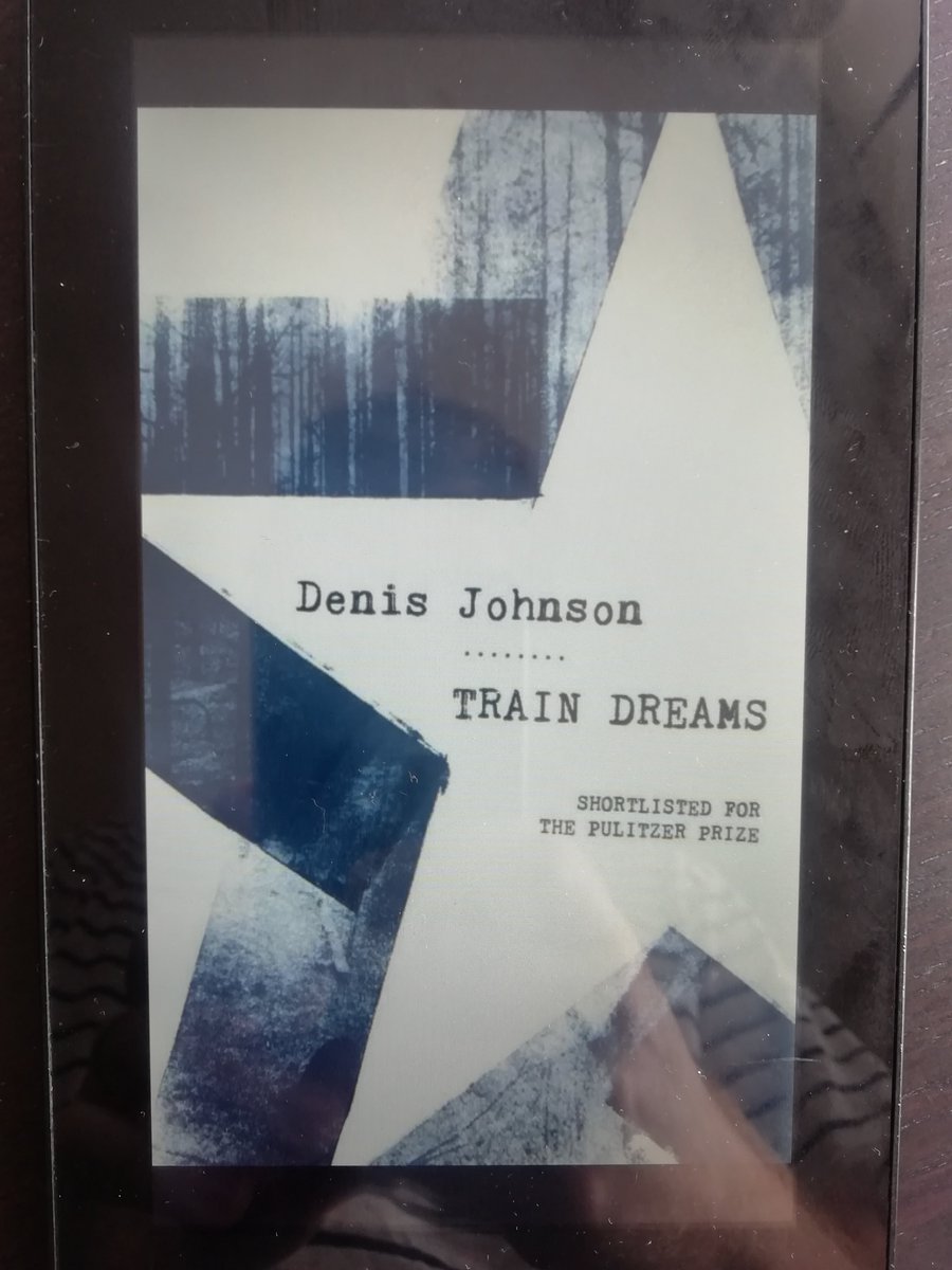 Book 48 was Train Dreams by Denis Johnson, an atmospheric novella that tells the story of the transformation of America through the life of Robert Grainier, a flawed 'everyman' character. A good meditation on change, isolation and memories. The landscape is a character in itself.