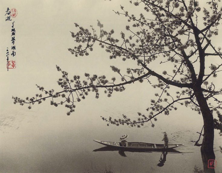 🌿Les fleurs dans le vent Voyage leur doux parfum Vers l’autre rive Haïku (Dong Hong Oai)