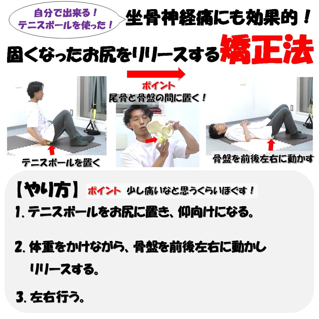 顔顎矯正 鍼灸接骨院 リビジョン 固くなったお尻をほぐす時のポイント 1 固い部分を探す 2 伸ばしすぎず揉みすぎず 3 座り方にも注意 整体では凝り固まった部分を圧迫しながら股関節を動かしストレッチを加える事で筋肉を緩めますが 自分で治す時はテニス 顔顎矯正 鍼灸接骨院 リビジョン 固くなったお尻をほぐす時のポイント 1 固い部分を探す 2 伸ばしすぎず揉みすぎず 3 座り方にも注意 整体では凝り固まった部分を圧迫しながら股関節を動かしストレッチを加える事で筋肉を緩めますが 自分で治す時はテニス