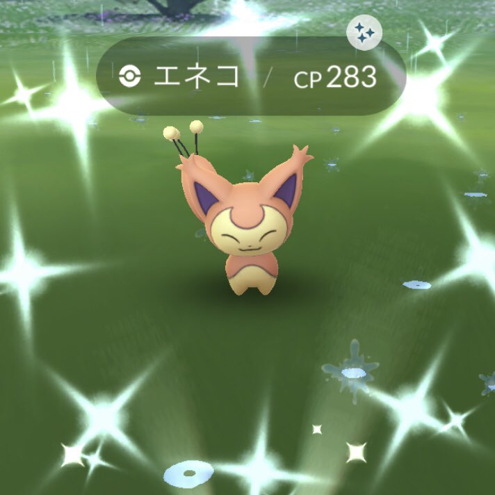 Keith Sax على تويتر エネコの色違いの3匹目をゲット 交換用っと ポケモンgo Pokemongo ポケモン エネコ エネコ色違い 色違い 色違いポケモン イロチ Shiny