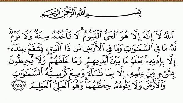 شير × الخير 
#العدل_لقضيه_الطباخ3ث