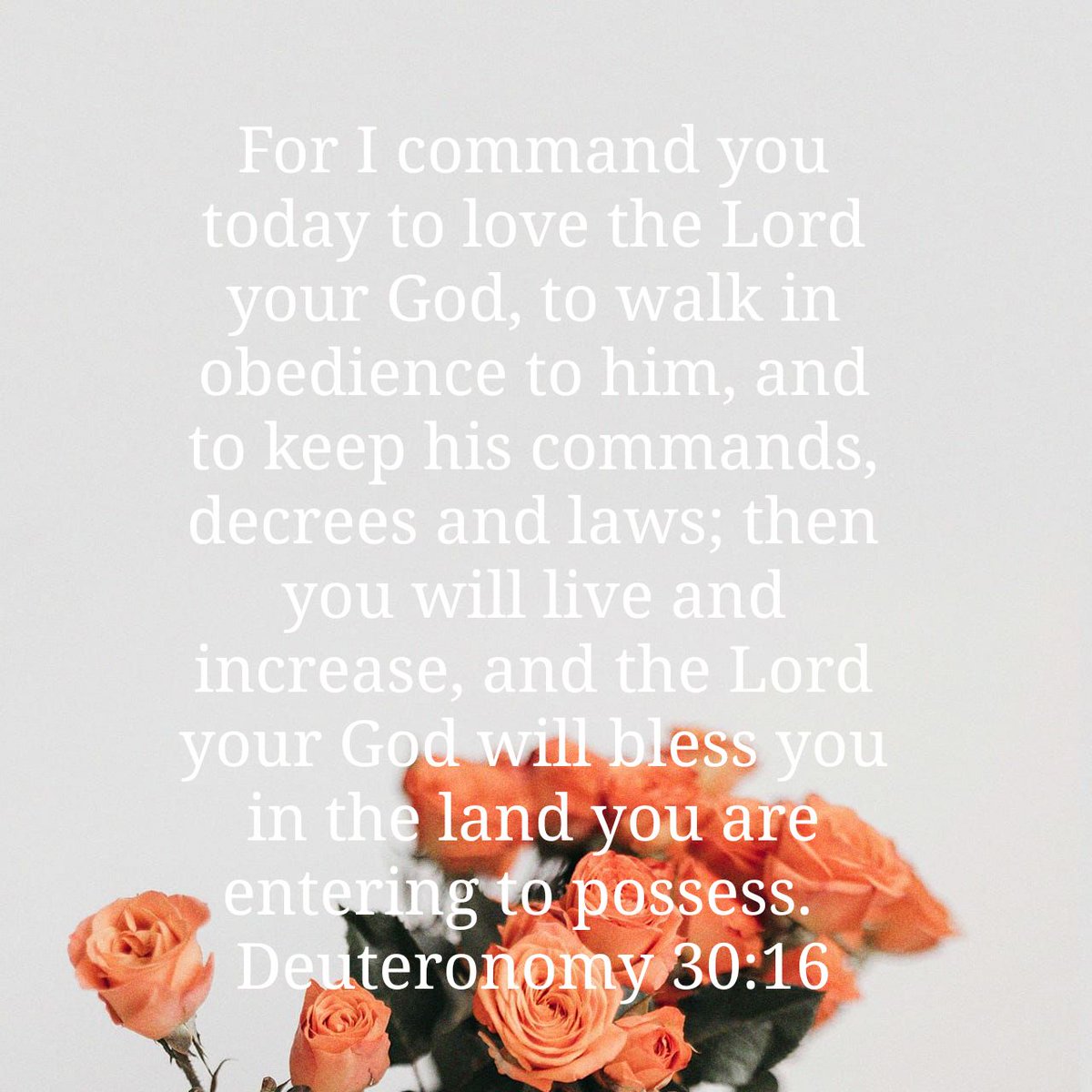 For I command you today to love the Lord your God, to walk in obedience to him, and to keep his…
deuteronomy.bible/deuteronomy-30…