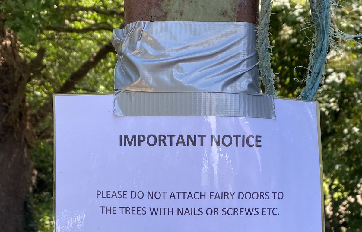 lothrek's tweet photo. All kicking off down the local woods... #fairygate https://t.co/iRuHNJIAFA