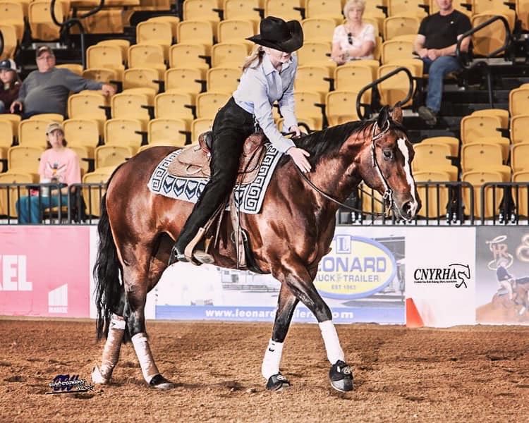 rideihsa's tweet photo. Congratulations to our Zone 1 Western Champions this season π
Abby McGinn of the University of Massachusetts π
The University of Massachusetts Western Team β€οΈ
#RideIHSA #IHSAStrong #IHSAWestern #Western #Equestrian #WesternEquestrian #EquestrianLifestyle https://t.co/feoQk0JFzC