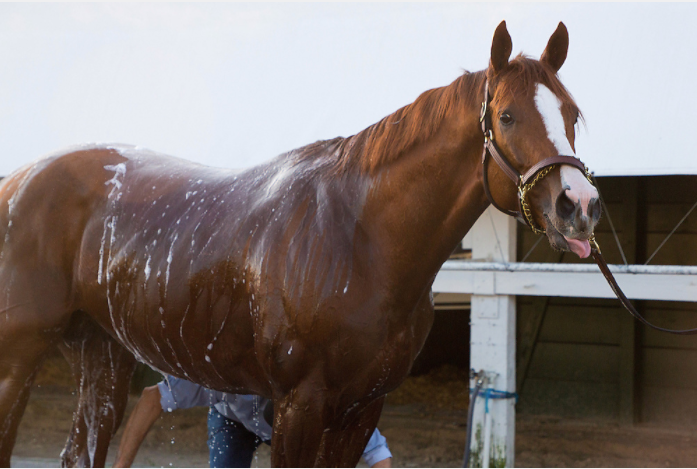 EclipseSports's tweet photo. Happy #Internationalbathday! #yesitsathing #thanksArchimedes
๐ท Arron Haggart https://t.co/E0UplHFYFl