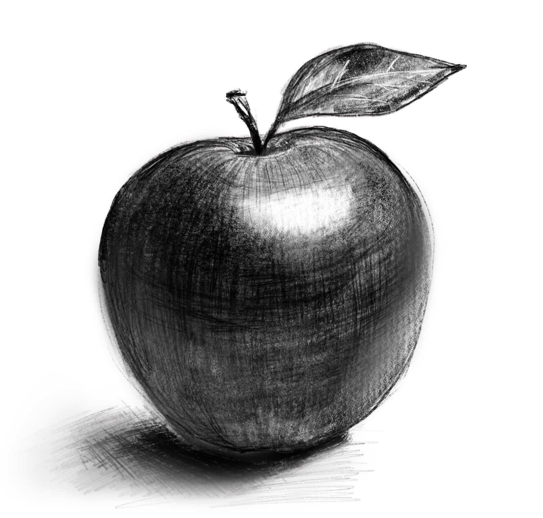 Amity Sensei Ipadmatenft 今日は Ipadmateサロンでオンラインチュートリアル Procreateで鉛筆デッサンしたよ ちょっと みんな上手すぎてびっくりする うまく教えれたのだと 自分に言い聞かせて来週もがんばる ちなみに画像4枚目は