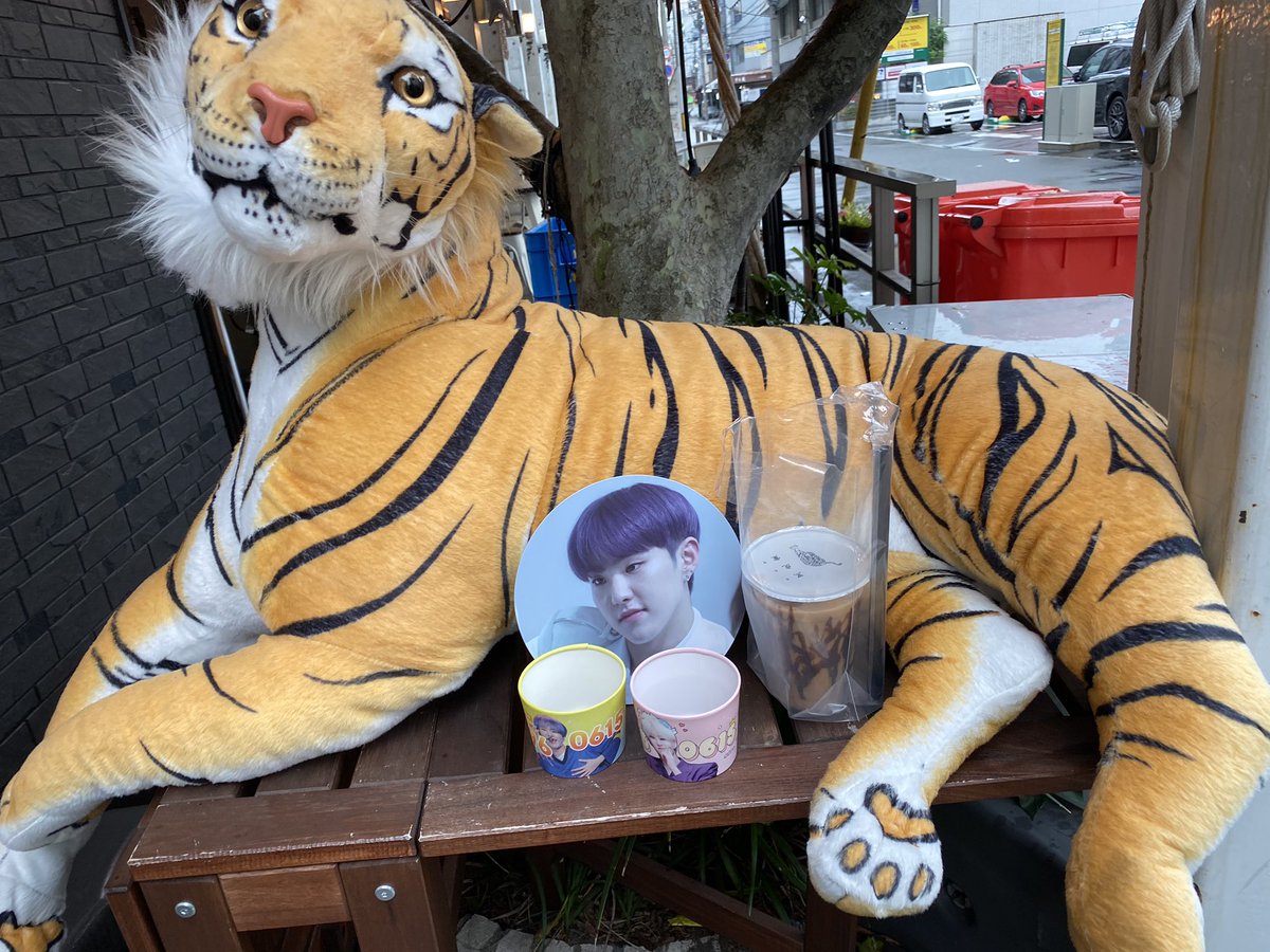 0606nctfullsun's tweet photo. @star_light_0615 
@bemydream_615 
@THEbtsJP
いただきました😊
親切で優しいお兄さんありがとうございました🥺💓
とっても可愛いホシくん嬉しいです😍
素敵な企画をありがとうございました🐯💓 https://t.co/ipKeT1sp1N