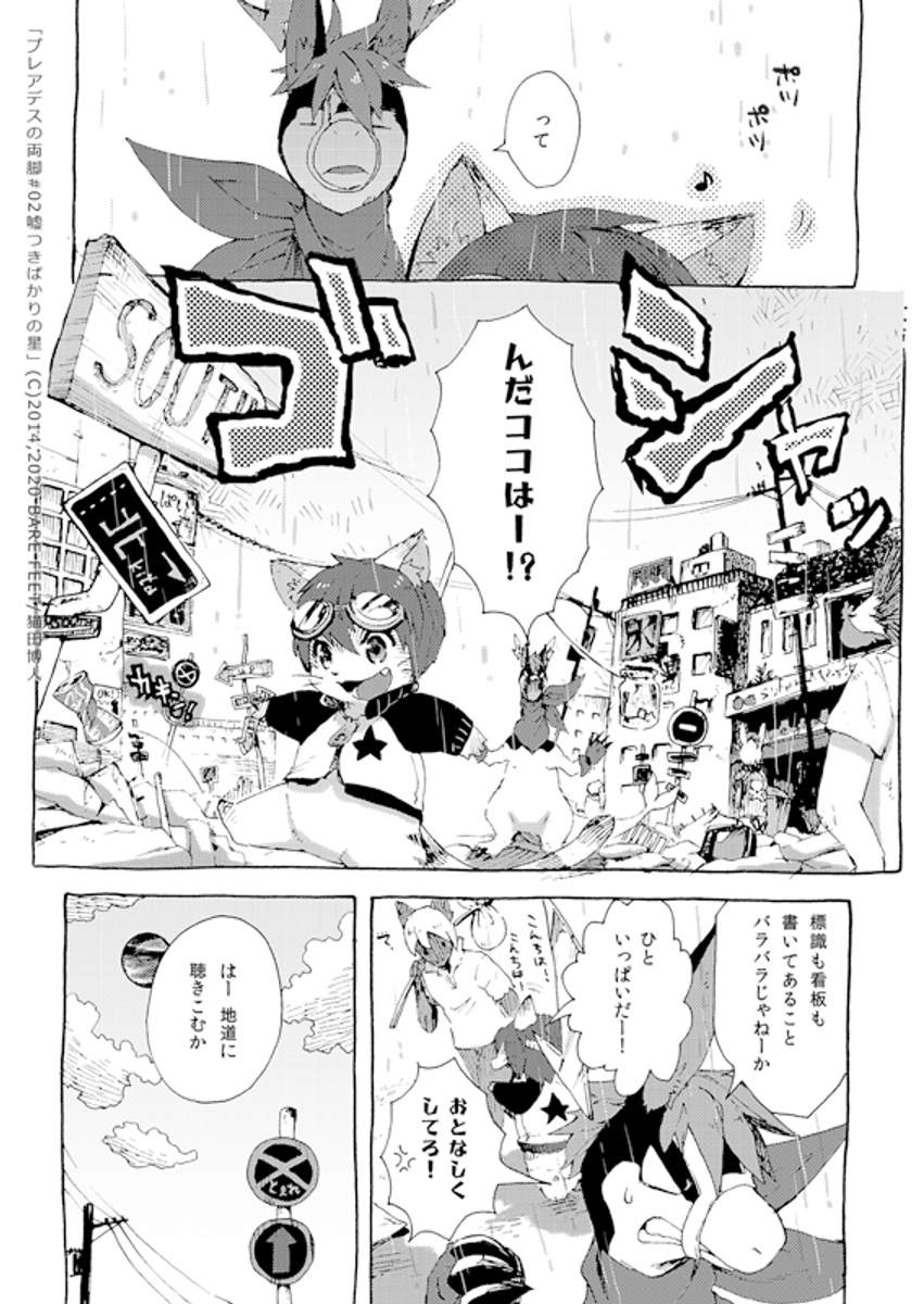(3/11) 