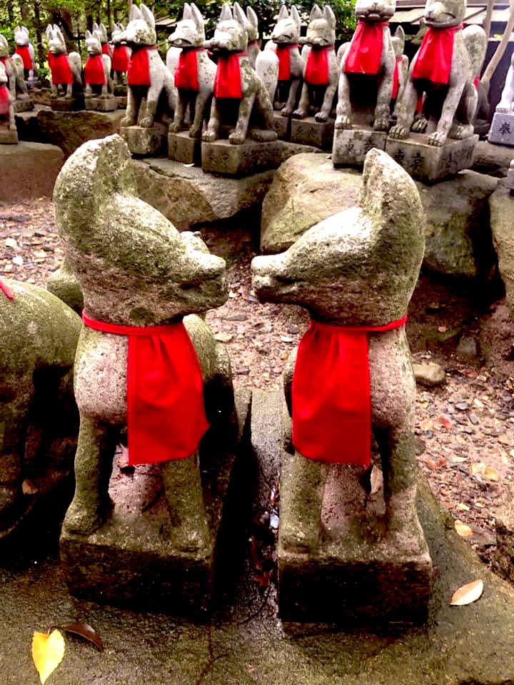 🦊逢愛きつね🦊アイアイキツネ🦊

「私の事、、、好き？？」

「。。。そんな事、、言わなくても分かるだろ」

「イヤ！、、分かんない！」

「は、恥ずかしくて、言えるかよ、、」

「想いは、ちゃんと口にして！」

「。。好きだよ。」

なーちって(〃ω〃)

笑笑

大丈夫か、、私💦

#行こまい豊川