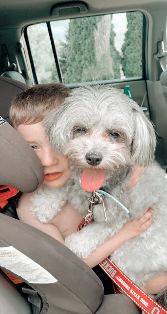 ATTENTION ‼️‼️ my sweet baby girl Nola ran away last night around 8pm by Bruno Rd. Please contact me if you see her. She’s super friendly and will come up to you, she’s wearing a white collar. Please please help me find my baby I’m heart broken