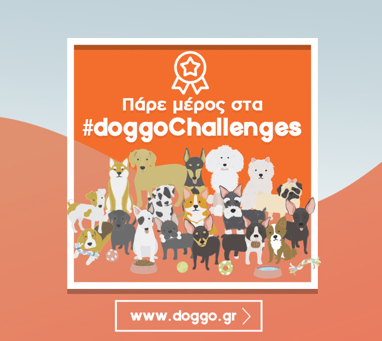 doggogr's tweet photo. 📢 Κάτι νέο ήρθε στο https://t.co/cqVH888xYW: Τα "Doggo Challenges"!
Σύντομα τα πρώτα Challenges θα γινουν διαθέσιμα σε όλα τα προφίλ και το μόνο που έχετε να κάνετε είναι να πάρετε μέρος, ανεβάζοντας 1 (ή περισσότερες) φωτογραφίες του σκύλου σας!

#DoggoChallenges #Comingsoon https://t.co/dWwWzNc75r