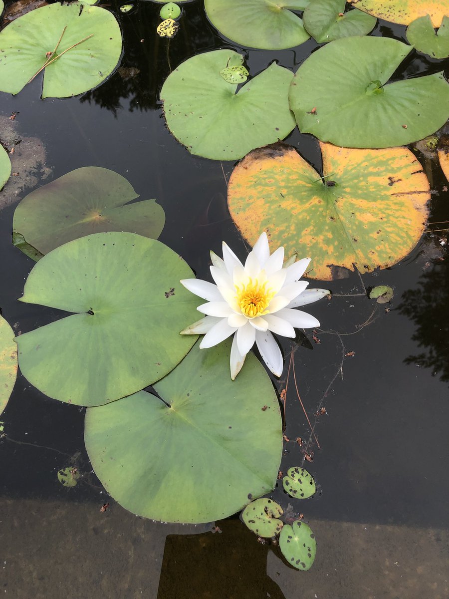 whisper (@namyeob12171012) on Twitter photo 