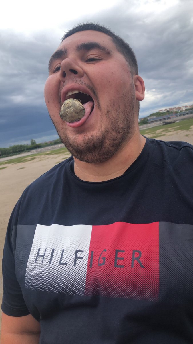 ryanhawthorne1's tweet photo. first tweet in 2 years has to be @Rickgeorge19 with a dead crab in his mouth 🦀 https://t.co/Ig1mmHvnfj