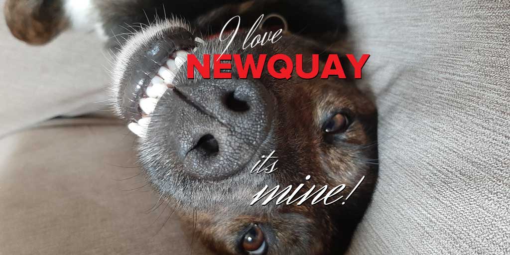 HenverCars's tweet photo. I love Newquay, it's mine! https://t.co/1lDIdvW5BU #newquay https://t.co/b2KZyZfggU