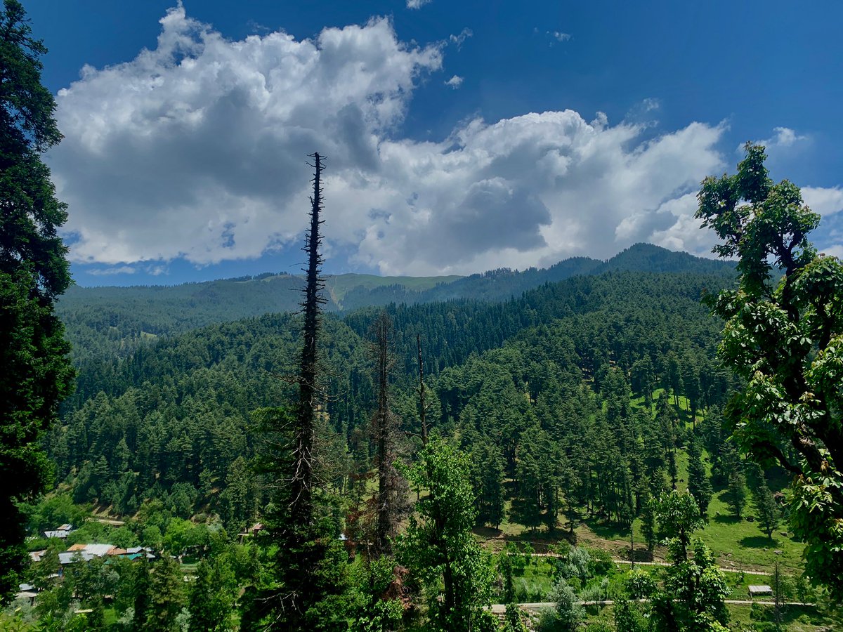 _Amir_Mir's tweet photo. a weekend break in the woods after a long while https://t.co/nHsHbapL2d