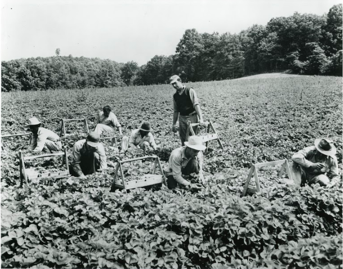 sum_research's tweet image. “That Puerto Rico is a U.S. colony is a matter of concern not only for Puerto Ricans but for anybody in the world who despises the undemocratic nature of colonialism." - Garcia-Colon #NPRDP