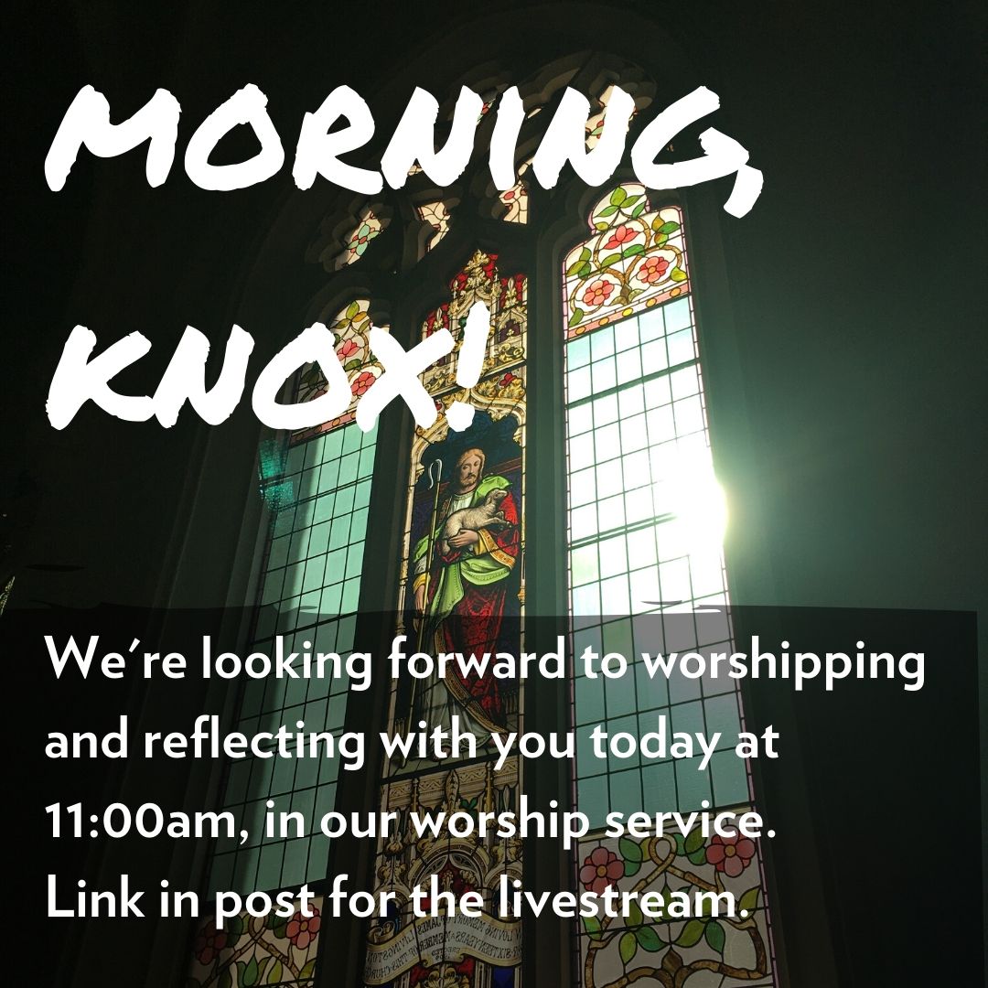 knoxtoronto's tweet photo. Welcome to Knox's worship service! Check out the livestream link for our digital worship service and today's anti-racism panel discussion here.  - https://t.co/T2zBV3apLd https://t.co/fRxgRHUbKE