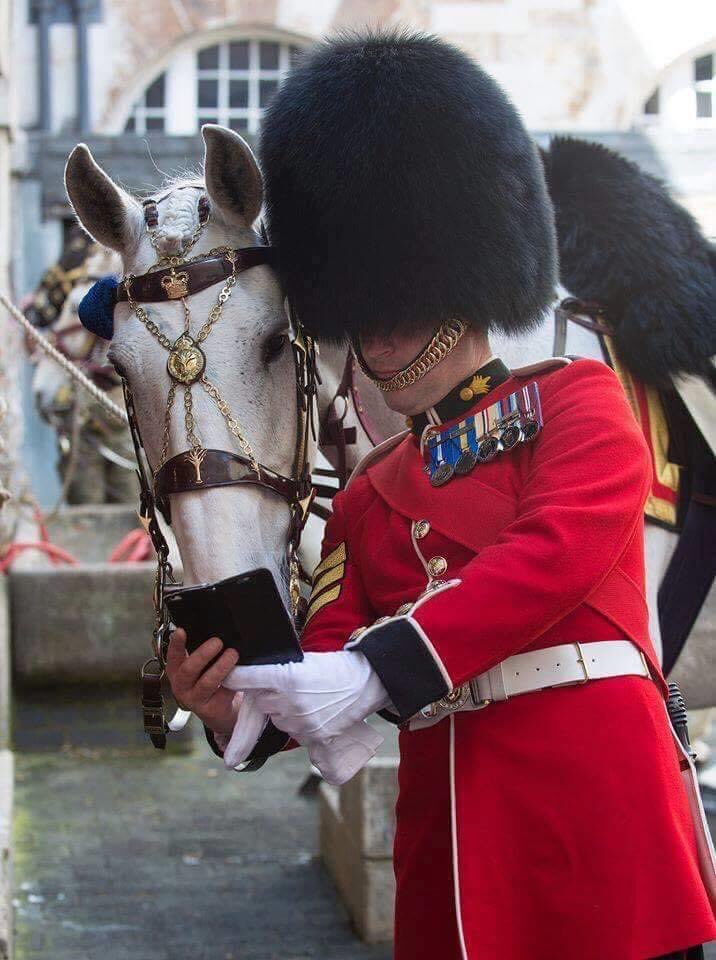 _SaZzLeSaz's tweet photo. Let’s take a moment out of the utter madness this world is in and appreciate this soldier taking a selfie with his horse...🥰 https://t.co/wEyqQ2WRTY