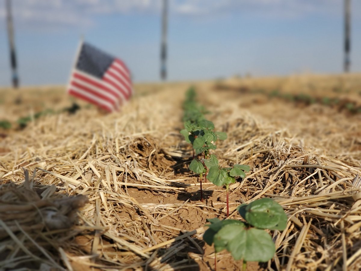 farmpress's tweet photo. Proud to be an American farmer! #flagday2020 https://t.co/HsLJZYSMDH