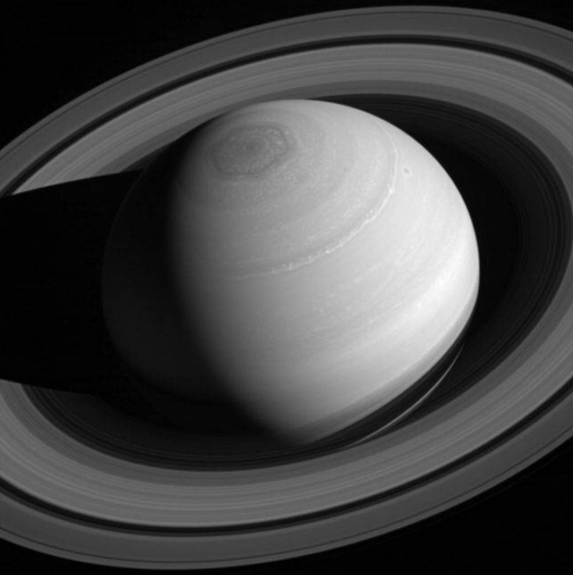 Ice Cube (@icecube) on Twitter photo 