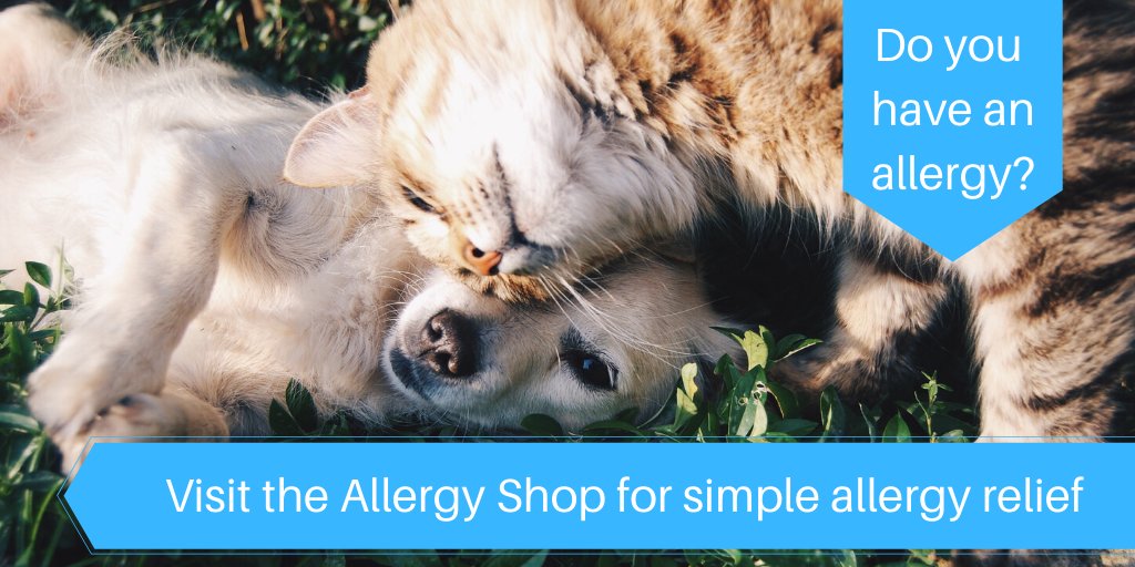 Pets are the second most important cause of allergy in the home and it’s not only cats and dogs. There can also be allergic reactions to other animals such as rabbit and hamsters.

To learn more visit our website at - allergyshop.co.uk

#Allergy #HomeTesting #Family #Pets