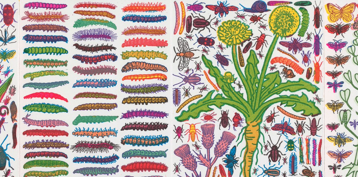 For #NationalChildrensDay, we're taking a cue from artist <a href="/JohnDilnot/">John Dilnot</a> and enjoying his accordion book "Weeds and Pests," inspired by a childhood spent playing and rooting about his grandparents’ garden in Kent, England.

Learn more: bit.ly/2An2GU8 #Yale #YCBARareBooks